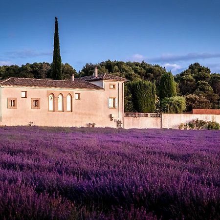 Le Mas Des Sorcieres - Maison D'Hotes Valréas Exteriör bild