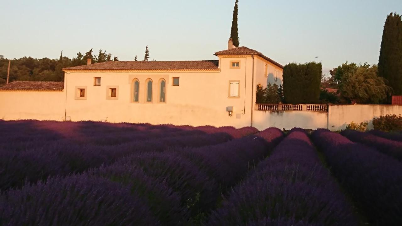Le Mas Des Sorcieres - Maison D'Hotes Valréas Exteriör bild