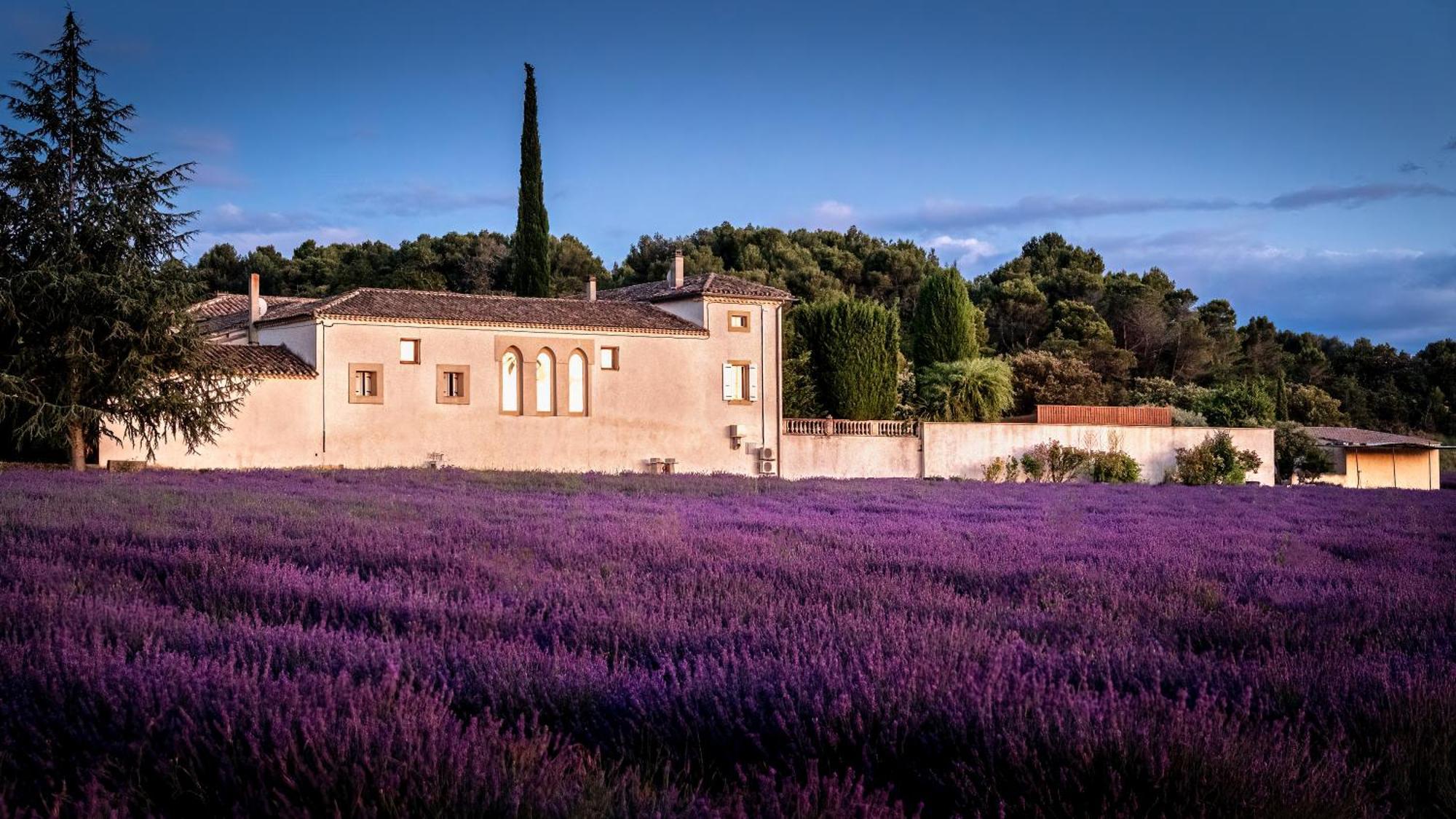 Le Mas Des Sorcieres - Maison D'Hotes Valréas Exteriör bild